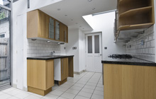 Loddon kitchen extension leads